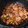 El cooksnap de Rosa Perailes cuando hizo Tagarnina en ajo pollo con arroz.
