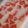 Cooksnap dari gege untuk resep Puding pepaya susu