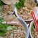 Cooksnap dari Iin Rahayu untuk resep Cwie Mie Malang a.k.a Pangsit Malang