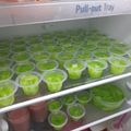 Cooksnap dari Nur Ikasari untuk resep Puding melon kelapa selasih