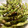 El cooksnap de Begoña Garteizaurrekoa cuando hizo Edamame picante con soja en airfryer.