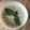 ًٍووو's cooksnap of when they made سلطه خيار مع لبن.