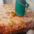 El cooksnap de Carlos Loncho cuando hizo Tereré al pomelo.