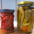 Cooksnap από Ρούλα Μίγκα στη συνταγή Τουρσί χωρίς αλάτι (συνταγή της γιαγιάς)
