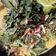 Cooksnap dari Ufuq Lamongan untuk resep 106)sayur daun singkong teri kuah santan