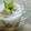 Cooksnap dari Andra Tersiana untuk resep Jenang Candil Sederhana