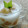 Cooksnap dari Andra Tersiana untuk resep Jenang Candil Sederhana