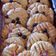 Cooksnap dari Triana Rakanita untuk resep Chocochip Sweet Cookies manis renyah
