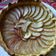 Cooksnap de Nininouille sur la recette Tarte aux pommes
