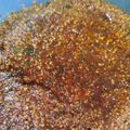Cooksnap dari MNFS [rian] untuk resep Bumbu Pecel Khas Madiun