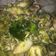 Cooksnap dari Catrina untuk resep Cumi Asin Cabe Ijo