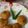 Rita Mehta ( Super chef )'s cooksnap of when they made Gol Moong Dal Kachori.