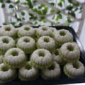 Cooksnap dari Indri hapsari Mm Amir untuk resep Putri ayu pandan