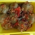 Cooksnap dari Nuryanah Nami untuk resep Cilok Gajahan