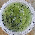Cooksnap dari Dapur Nanak untuk resep Es Melon Serut Biji Selasih
