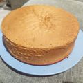 Cooksnap dari sekarwati untuk resep Bolu jadul (super lembut, lembab gak kering)