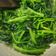 Cooksnap dari Rhee untuk resep Sayur Horenzo (Pocai) bawang putih ala Tiger Kitchen