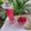 Mukti Bhargava का कुकस्नैप जब उन्होंने पोमेग्रेनेट लेमोनेड (Pomegranate Lemonade Recipe in hindi) बनाया था।