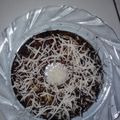 Cooksnap dari Nurhayati Limbong untuk resep Bolu kukus keju simple
