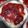 Cooksnap dari Puspa Bowty untuk resep Setup Roti Strawberry