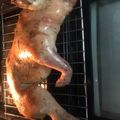El cooksnap de mabega cuando hizo Cochinillo al horno.
