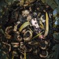 Cooksnap dari Ty Uty untuk resep Cumi Bumbu Hitam
