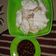 Cooksnap dari susantyy susantynani untuk resep Cireng
