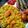 Subhasree Santra's cooksnap of when they made মুসুর ডালের খিচুড়ি আর হরেক রকম ভাজা ও তিসির চাটনি (musur daler khichuri recipe in Bengali).