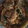 Cooksnap dari Regina Adrian Lionard untuk resep Dangkot Ayam