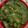 Reshmi Deb's cooksnap of when they made ধনেপাতা ক্যাপ্সিকাম বাটায় আলুর দম(dhone pata batay aloor dum recipe in Bengali).