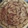 El cooksnap de Sofi Vitette cuando hizo Tarta de manzana con canela súper económica !!!.