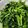 戒空-火候熬出珍味🇹🇼Taiwan, Republic of China 的 爆炒空心菜 cooksnap