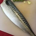 fennel05's cooksnap of when they made Salted and Grilled Horse Mackerel.