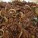 Cooksnap dari Yusni Yusrani untuk resep Beef teriyaki ala hokben