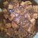 Cooksnap dari Philia Giri untuk resep Semur Kecap Tahu