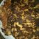 El cooksnap de Mica vegan y recetas para todos cuando hizo Panqueques de avena y plátano.