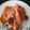 El cooksnap de Lola cuando hizo Chuletas de pavo tricolor.