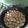 Cooksnap dari Elya untuk resep Cilok daging mantap😋😗😋
