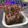 รูป Cooksnap ของ Nutthapohn Phaethaisong เมื่อเขาทำ บราวนี่ผงโกโก้
