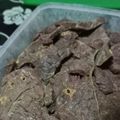 Cooksnap dari Fitri Wijayanti untuk resep Paru Goreng Garing resep Padang