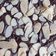 Cooksnap dari Naads_Kitchen untuk resep Shiny Coffee Brownies