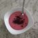 El cooksnap de esecaos cuando hizo Mousse de fresas.