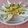 El cooksnap de Juanma cuando hizo Ensalada de endivias.