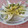 El cooksnap de Juanma cuando hizo Ensalada de endivias.
