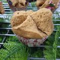 Cooksnap dari 李安娜💖 untuk resep Bolkus Mekar Palm Sugar
