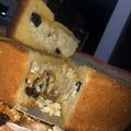 El cooksnap de Ayelen Saucedo cuando hizo Torta de ricota y pasas.