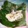 Cooksnap dari lanimasak untuk resep Nasi bakar simple tapi pas di mulut 😬