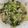 徐婕琋 的 青江菜炒菇 cooksnap