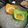 El cooksnap de David cuando hizo Huevo pochado sobre tostada con palta.