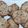 Nuno Gonçalves's cooksnap of when they made Oreo Cheesecake Cookies (Super simple).